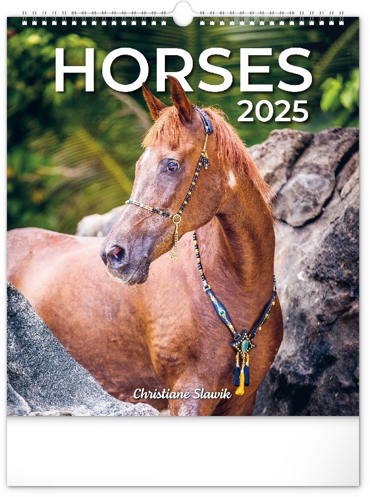 Realsystem 2025 Horses 6087-HO falinaptár