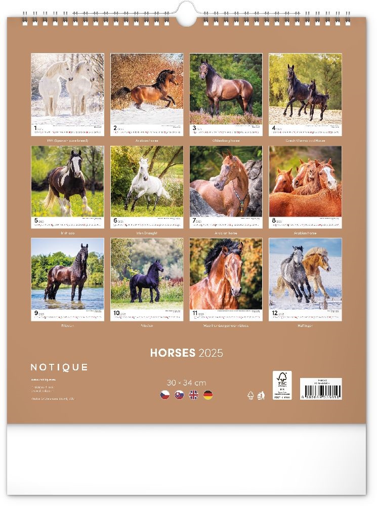 Realsystem 2025 Horses 6087-HO falinaptár