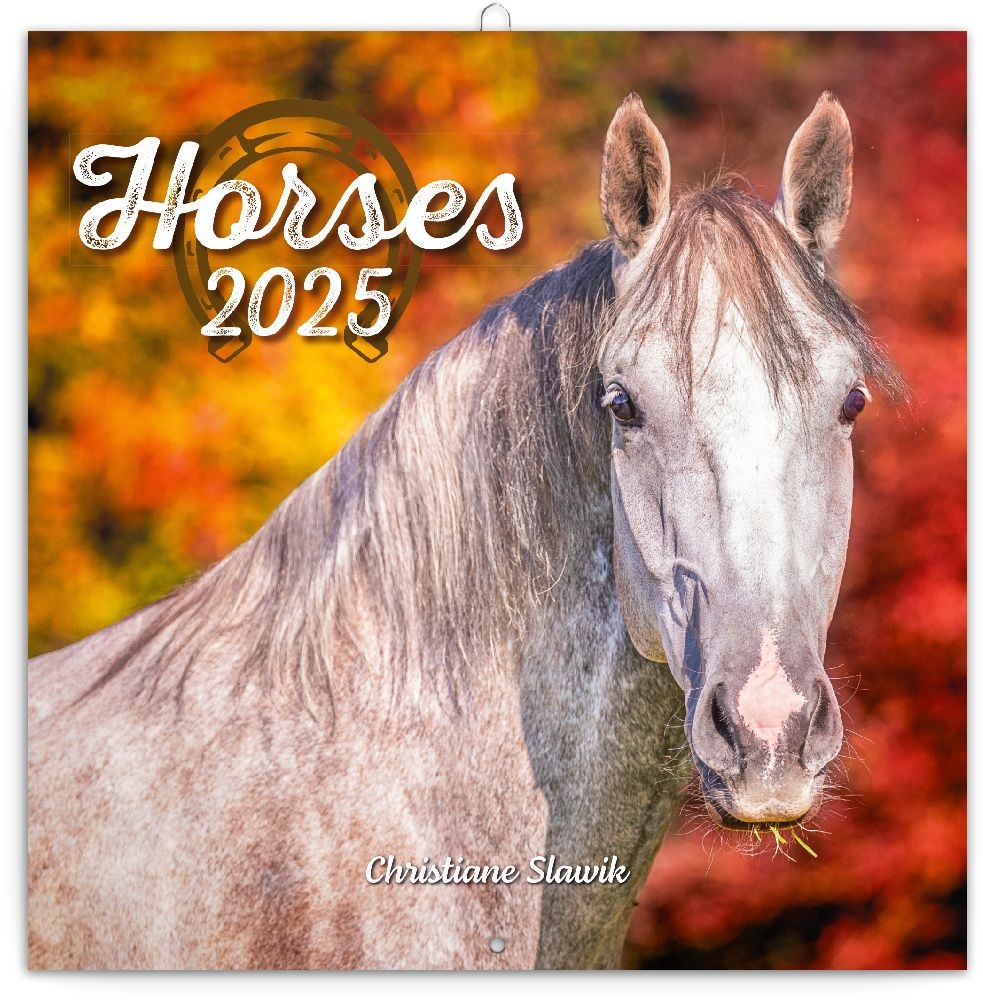 Realsystem 2025 Horses 6097-HO falinaptár