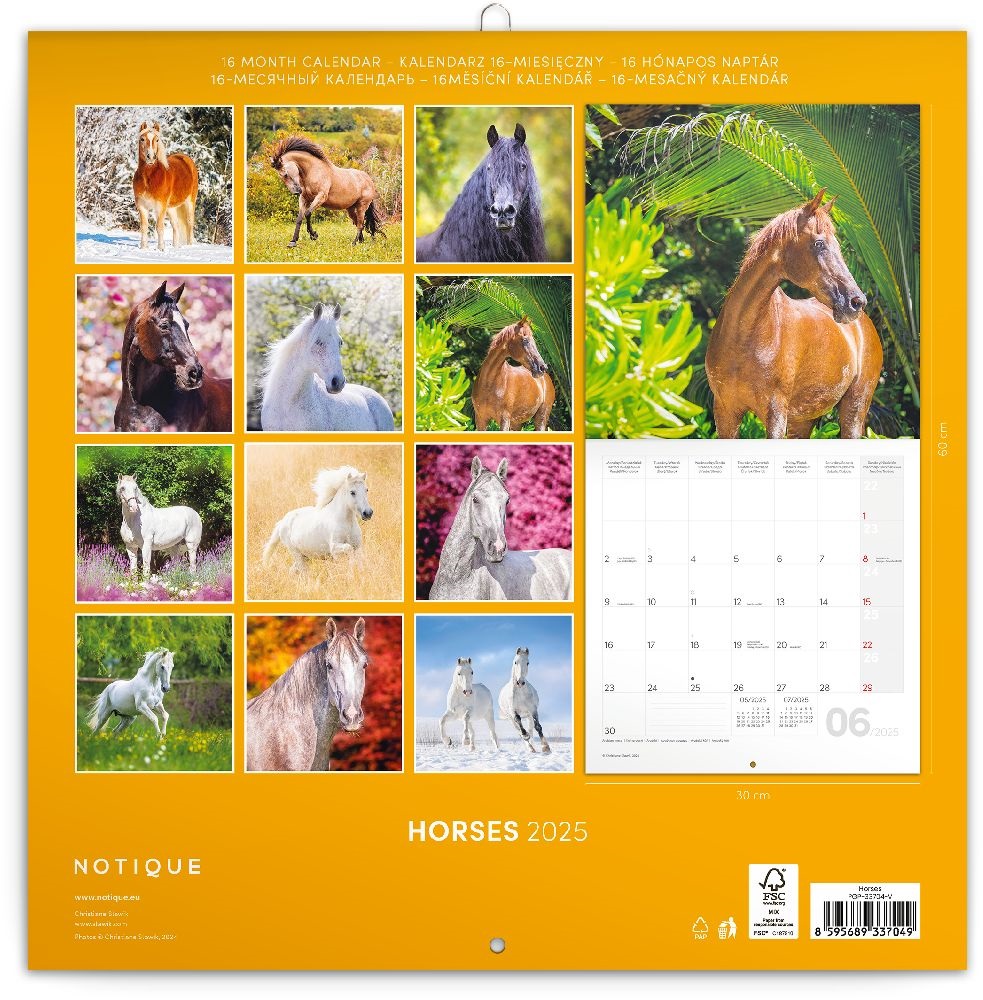 Realsystem 2025 Horses 6097-HO falinaptár
