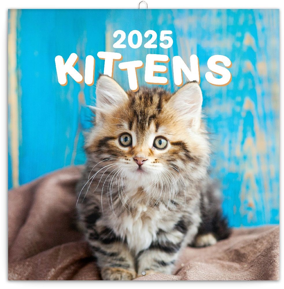 Realsystem 2025 Kittens 6097-KI falinaptár