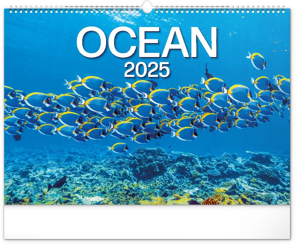 Realsystem 2025 Ocean 6094 falinaptár