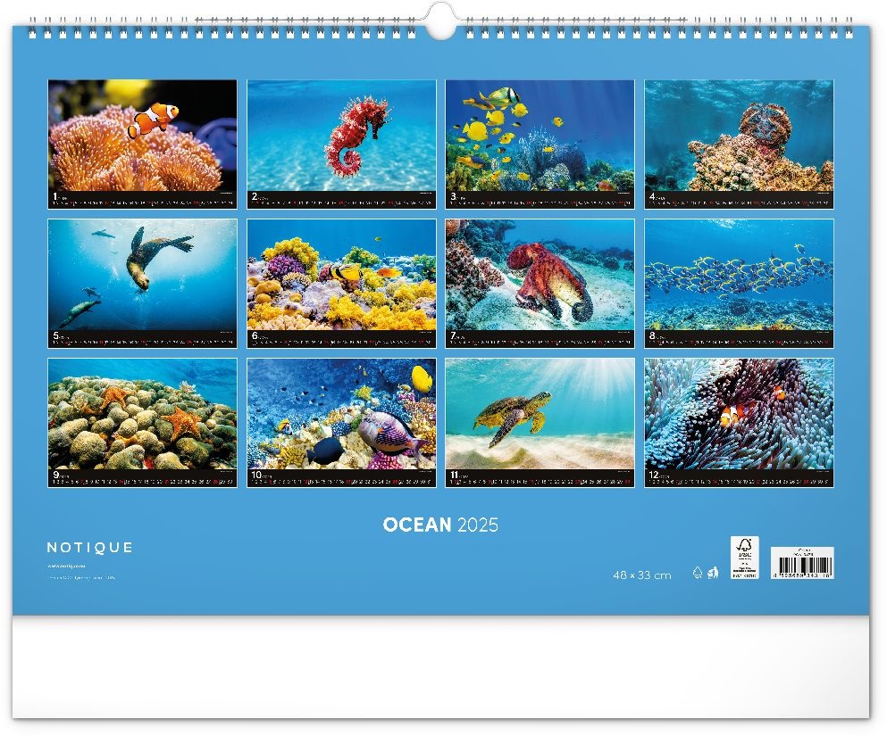 Realsystem 2025 Ocean 6094 falinaptár