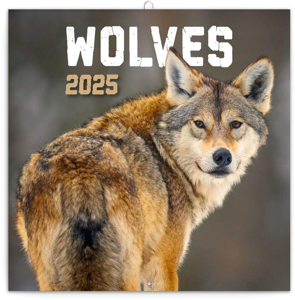 Realsystem 2025 Wolves 6097-WS falinaptár