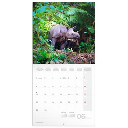 Realsystem 2026 Endangered Animals 6097-EA falinaptár