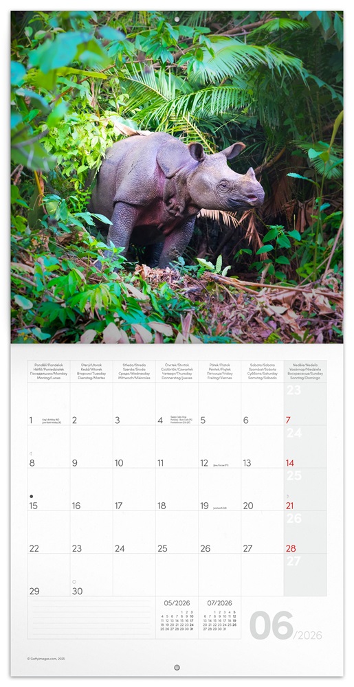Realsystem 2026 Endangered Animals 6097-EA falinaptár