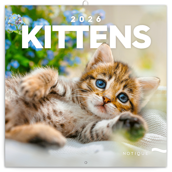 Realsystem 2026 Kittens 6097-KI falinaptár