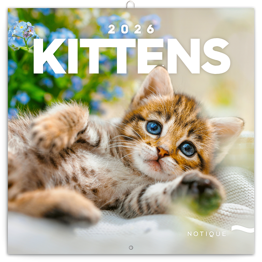 Realsystem 2026 Kittens 6097-KI falinaptár