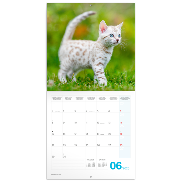 Realsystem 2026 Kittens 6097-KI falinaptár