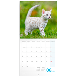 Realsystem 2026 Kittens 6097-KI falinaptár