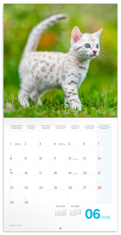 Realsystem 2026 Kittens 6097-KI falinaptár