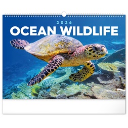 Realsystem 2026 Ocean 6094 falinaptár