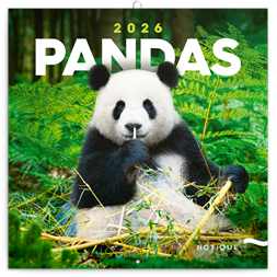 Realsystem 2026 Pandas 6097-PS lemeznaptár