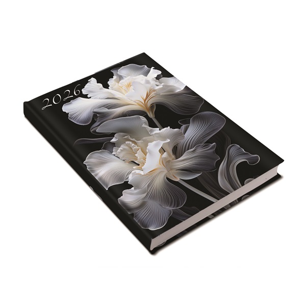 Realsystem 2026 Picture 5321-60 írisz A5 napi beosztású határidőnapló