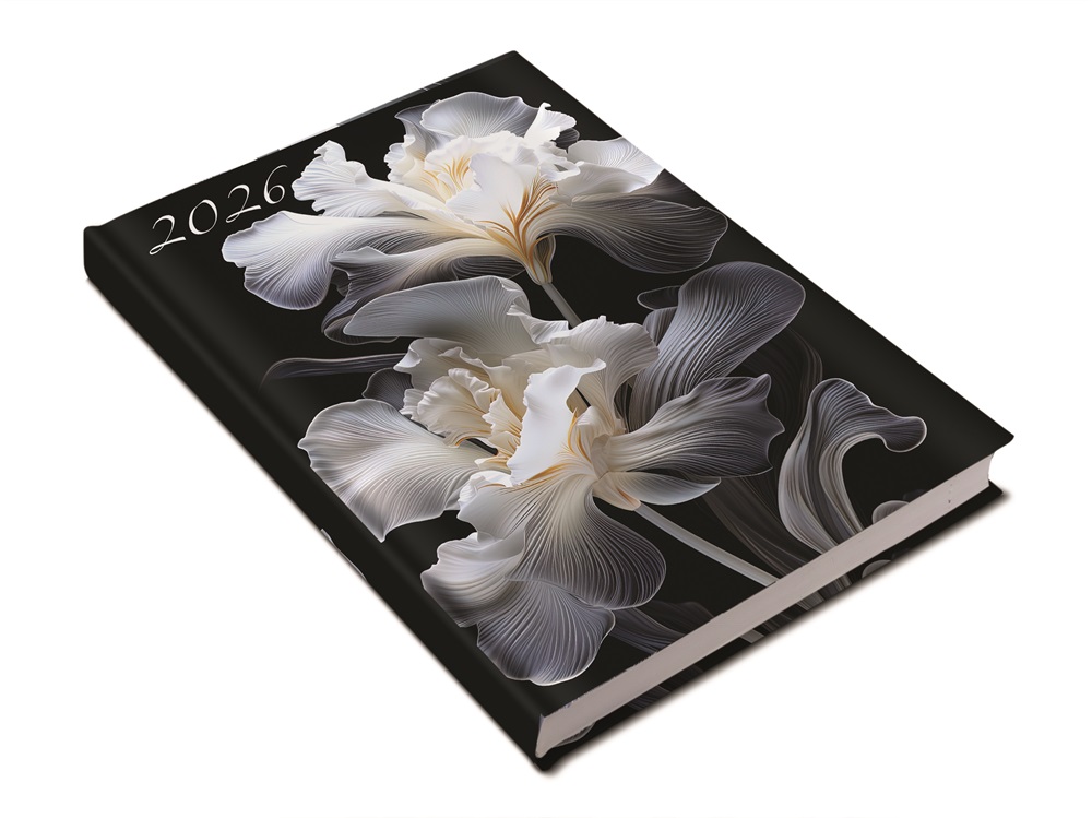 Realsystem 2026 Picture 5321-60 írisz A5 napi beosztású határidőnapló