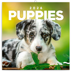 Realsystem 2026 Puppies 6097-PU falinaptár