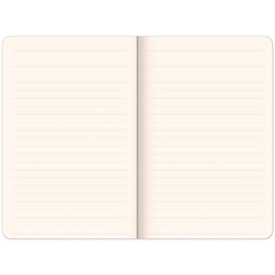 Realsystem 5416 Figs keményfedeles notesz