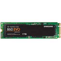 Samsung 1000GB SATA3 860 EVO M.2 SATA (MZ-N6E1T0BW) SSD