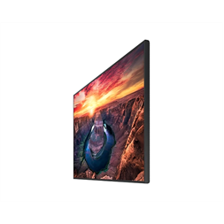 Samsung 50" QMB Quantum Processor 4K UHD VA LFD kijelző