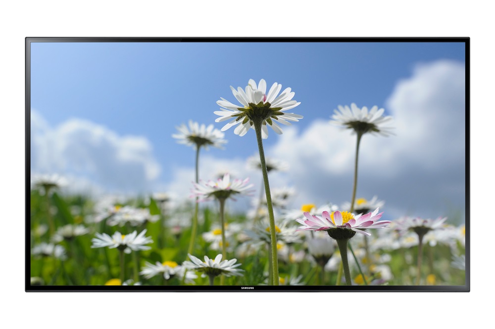 Samsung 65" ED65C LFD