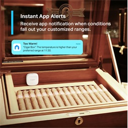 TP-Link Tapo T310 fehér okos hőmérséklet és páratartalom jelző