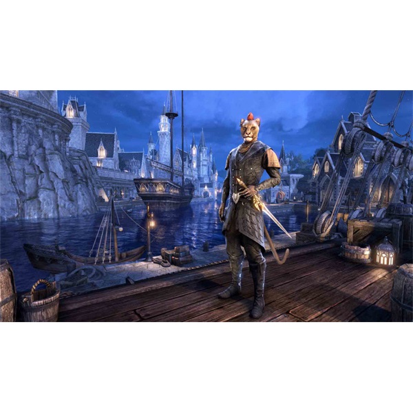 The Elder Scrolls Online: Summerset PS4 játékszoftver (Használt - A)