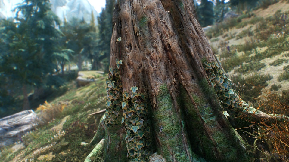 The Elder Scrolls V: Skyrim Nintendo Switch játékszoftver