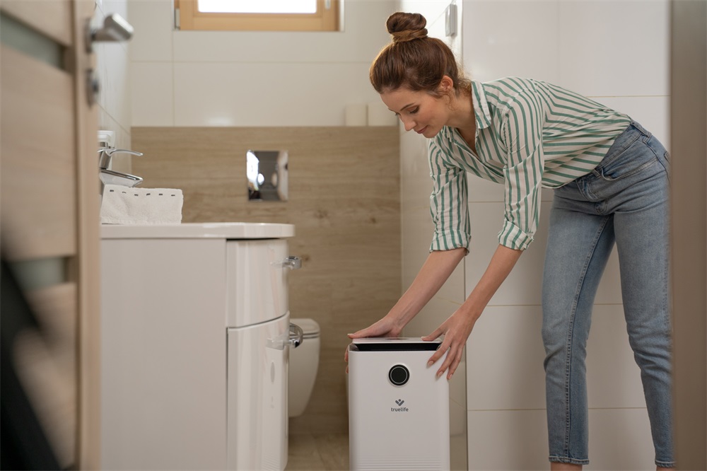 TrueLife AIR Dehumidifier DH5 Touch párátlanító