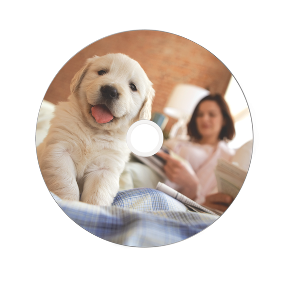 VERBATIM 43754 DVD+R 8,5GB/kétrétegű/8x/hő nyomtatható felület/egyszer írható DVD 50db/csomag