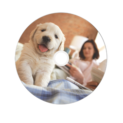 VERBATIM 43754 DVD+R 8,5GB/kétrétegű/8x/hő nyomtatható felület/egyszer írható DVD 50db/csomag