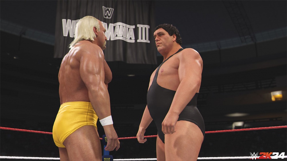 WWE 2K24 PS4 játékszoftver