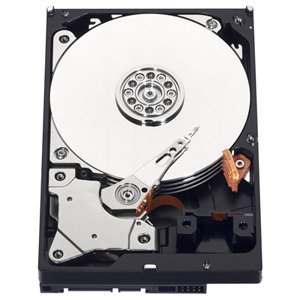 Western Digital 3,5" 1000GB belső SATAIII 5400RPM 64MB Blue WD10EZRZ winchester 2 év